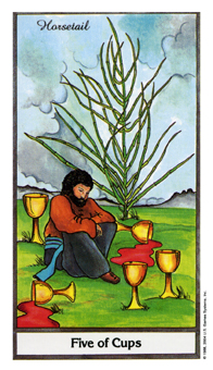 Five of Cups