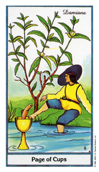 Page of Cups