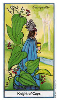 Knight of Cups
