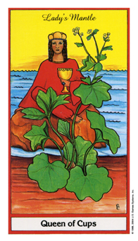 Queen of Cups