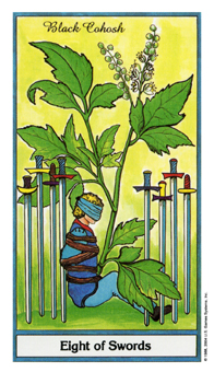 Eight of Swords
