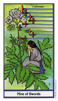 Nine of Swords