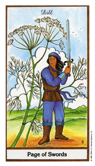 Page of Swords
