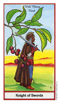 Knight of Swords
