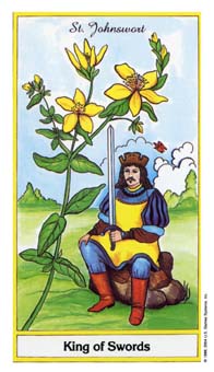 King of Swords