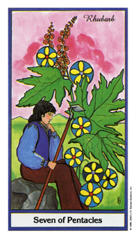 Seven of Coins