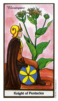 Knight of Coins