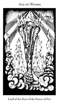 Ace of Wands