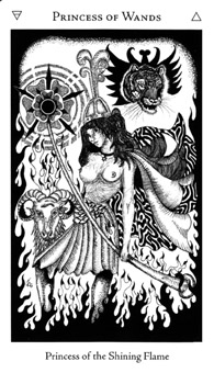 Princess of Wands